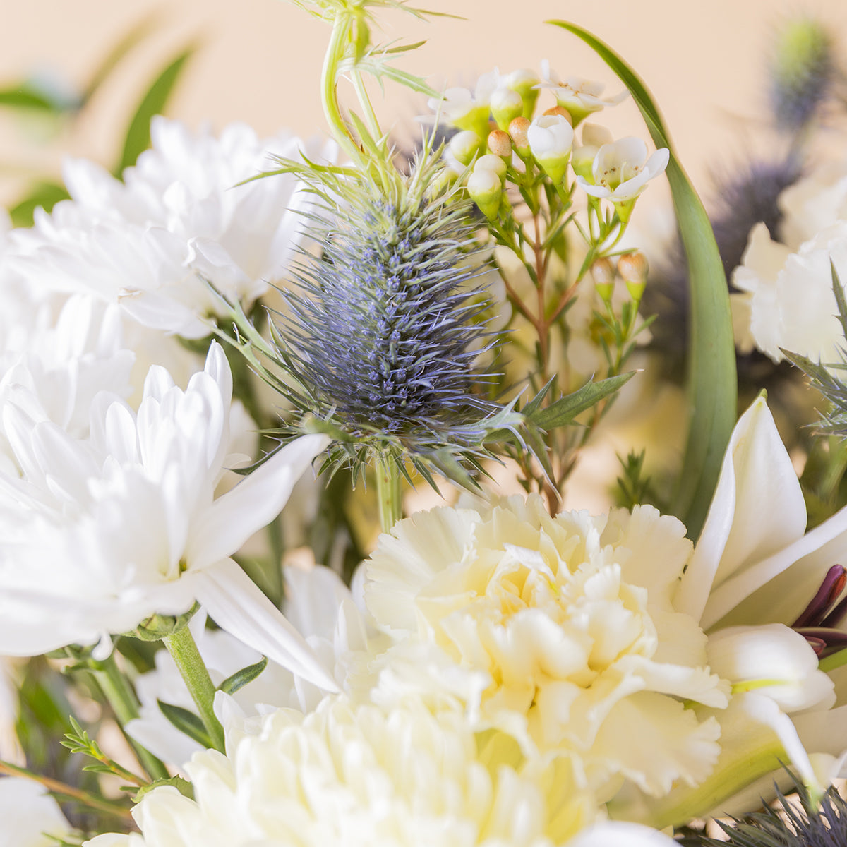 Detalle del ramo de flores blancas de Colvin con crisantemo blanco, eryngium azul, clavel marfil y wax flower