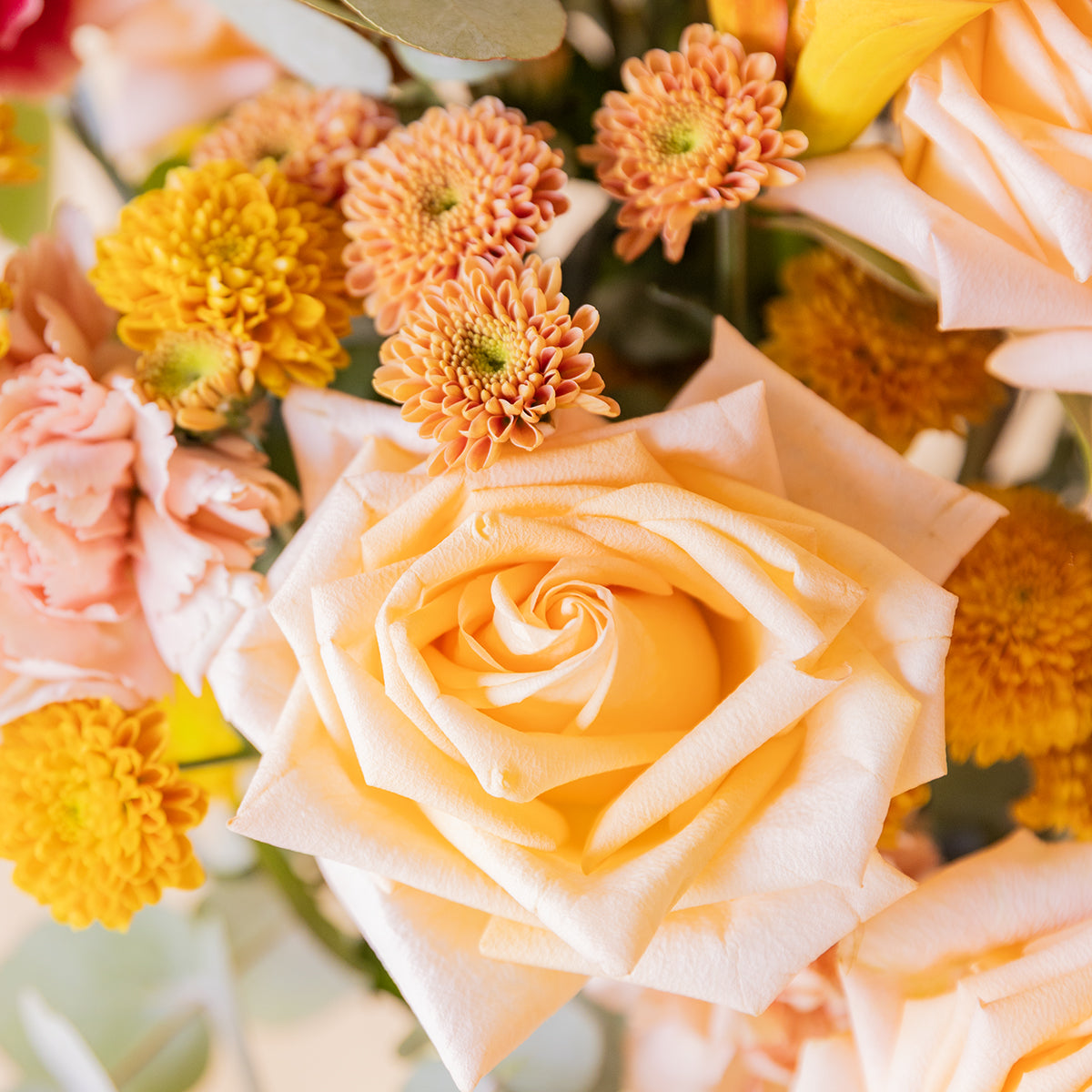 Detalle de rosa salmón y crisantemos naranjas del ramo El Ginger con luz natural — Colvin