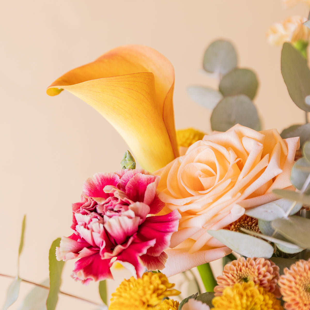 Detalle de cala naranja, rosa salmón y clavel fucsia del ramo El Ginger — Colvin