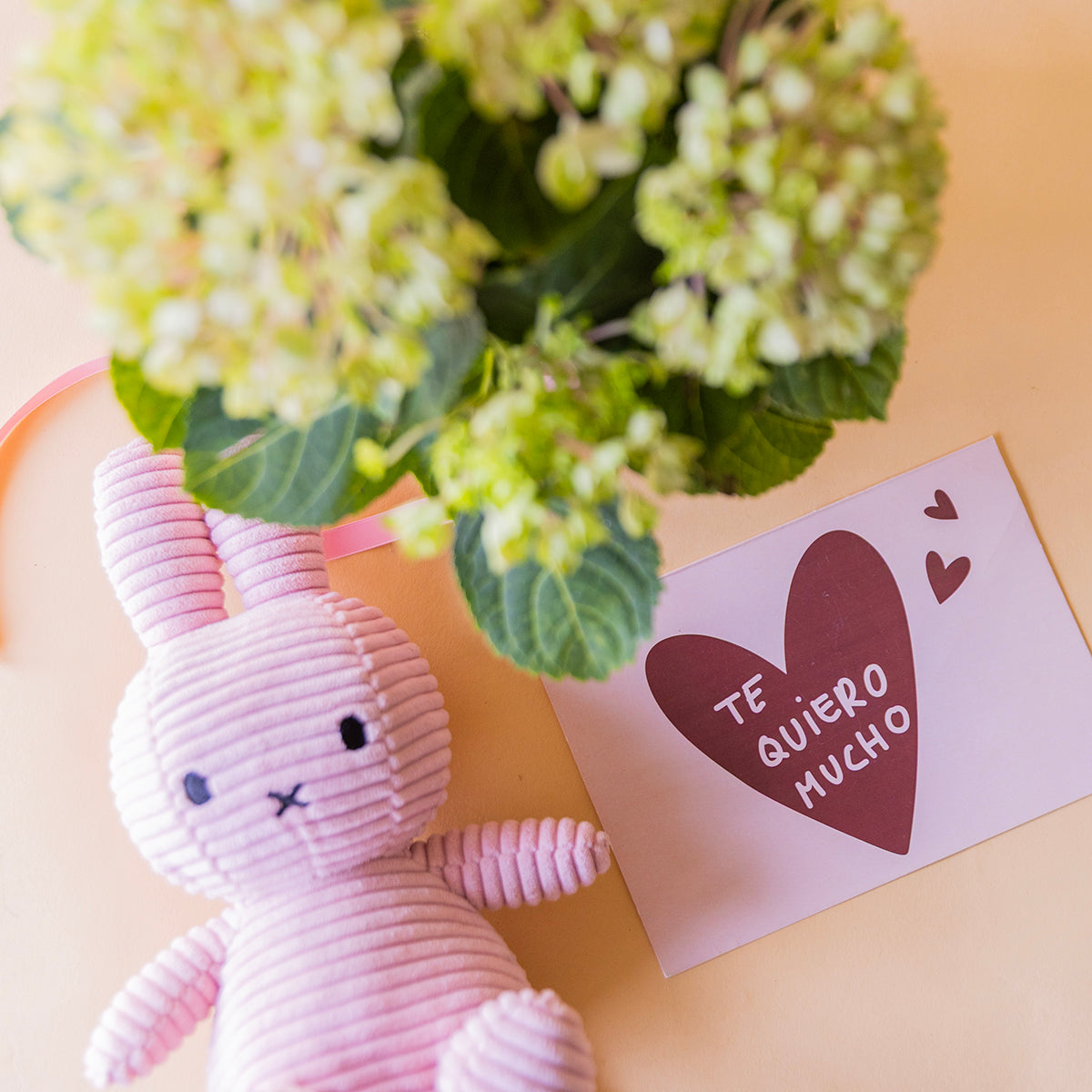 Cenital peluche Miffy rosa y tarjeta Te quiero mucho con hortensia verde al fondo, planta regalo a domicilio - Colvin
