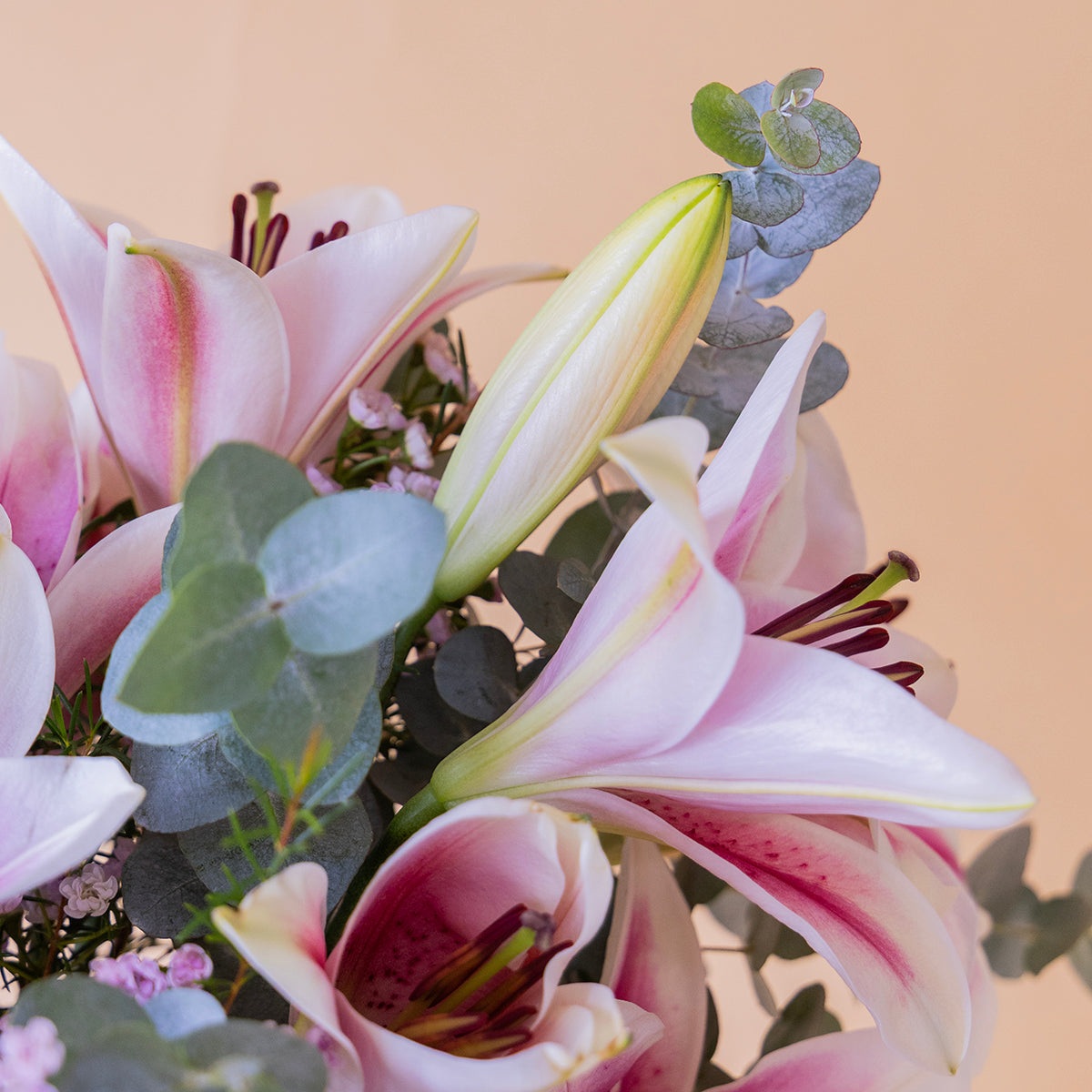 Ramo de lirios rosas, flor de cera y eucalipto sobre fondo crema.