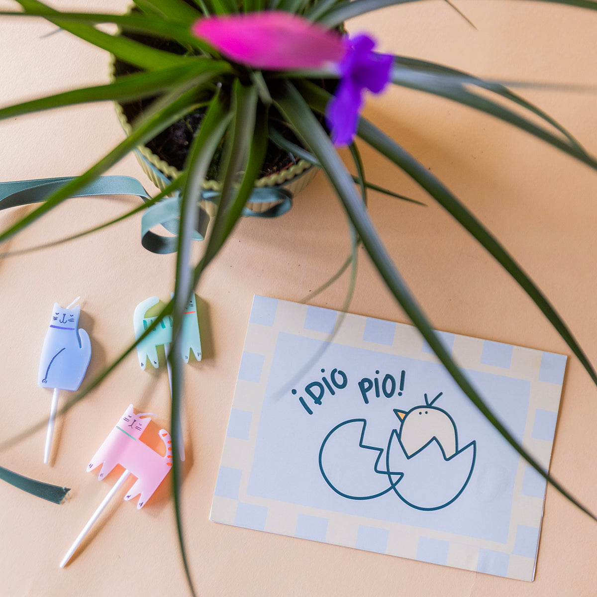 pack tillandsia rosa con maceta elho verde, velas gatitos y tarjeta bebé