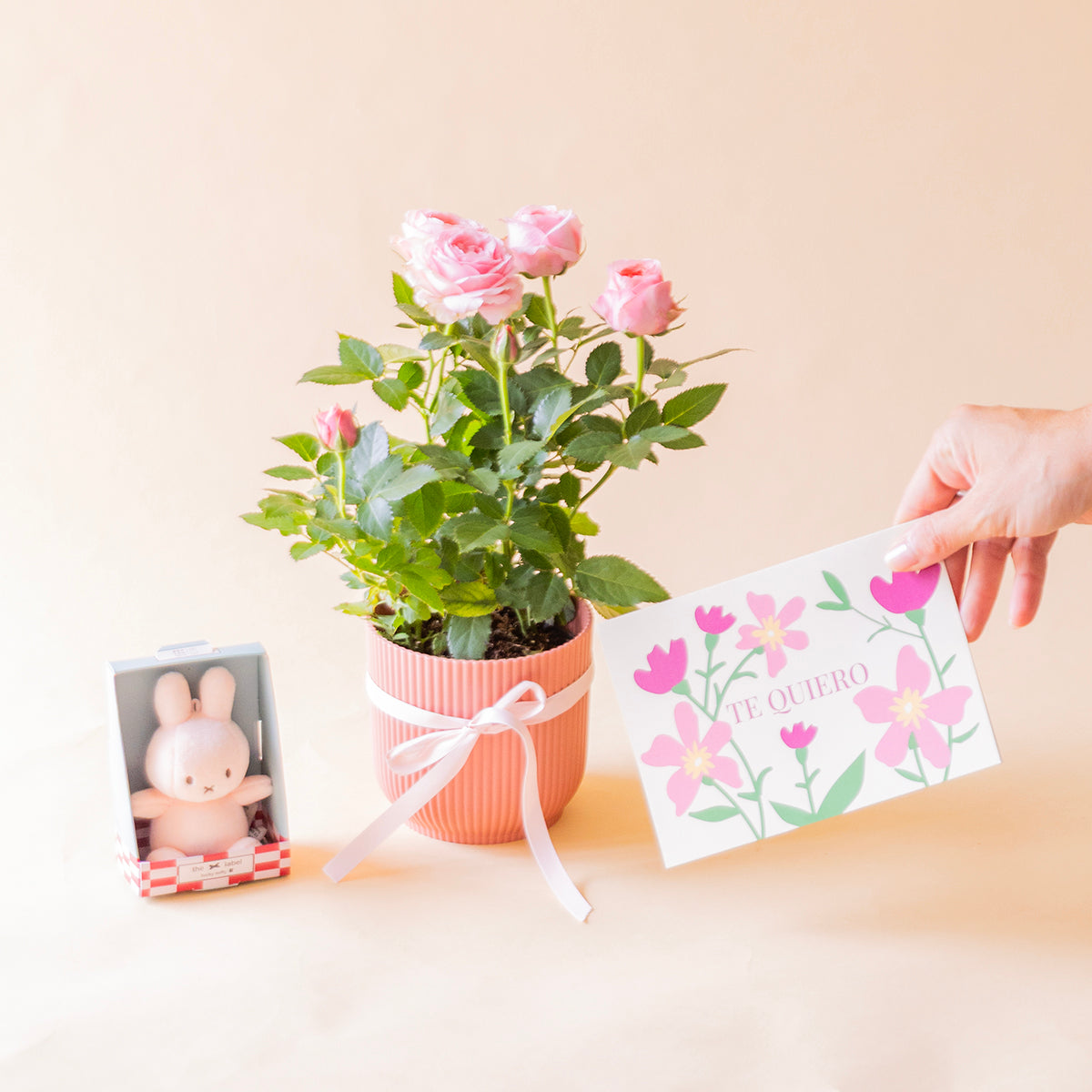 Rosal pitimií rosa con peluche y tarjeta Te Quiero, regalo para regalar con entrega a domicilio - Colvin
