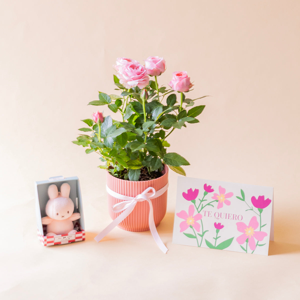 Rosal pitimií rosa en maceta salmón con lazo, mini peluche y tarjeta Te Quiero floral - Colvin