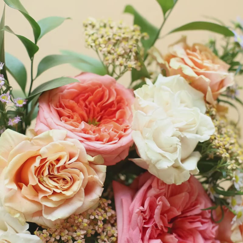 Carregar vídeo: Rosas - Seleção de rosas coloridas