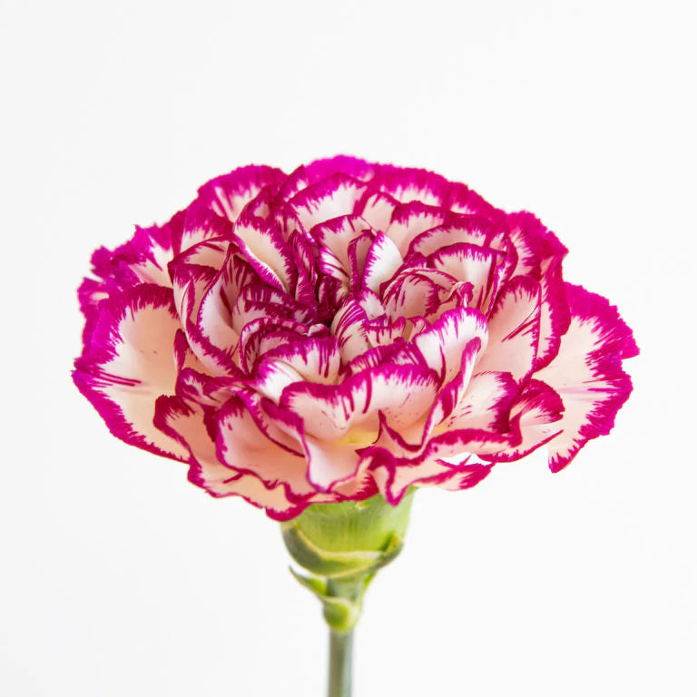 Ramos de flores multicolores