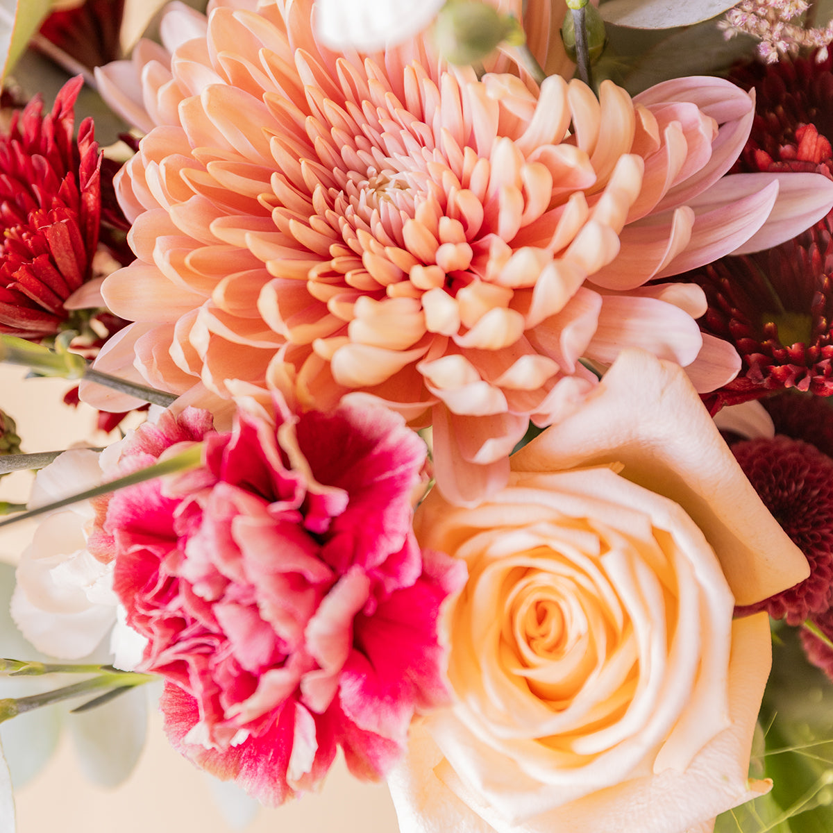 Detalle de crisantemo salmón, clavel fucsia y rosa del ramo El Solsticio — Colvin
