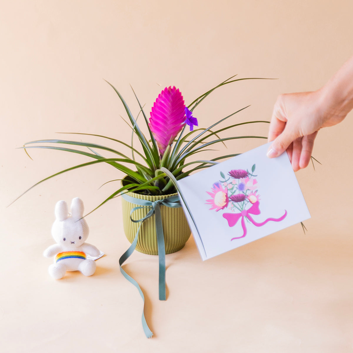 Tillandsia rosa en maceta verde con llavero Miffy arcoiris y mano sosteniendo tarjeta protea floral - Colvin