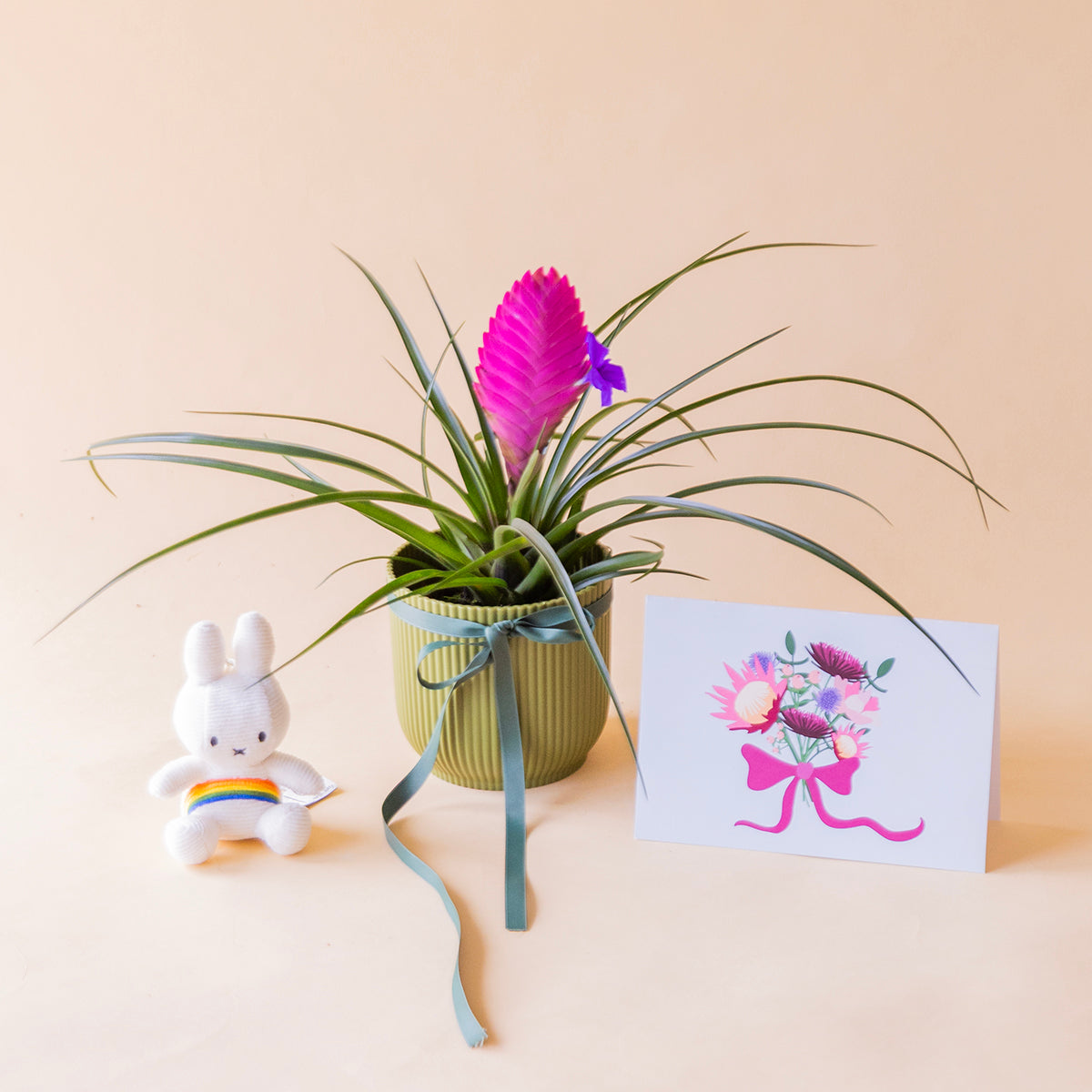 Tillandsia rosa en maceta verde estriada con lazo, llavero Miffy arcoiris y tarjeta protea floral, regalo a domicilio - Colvin