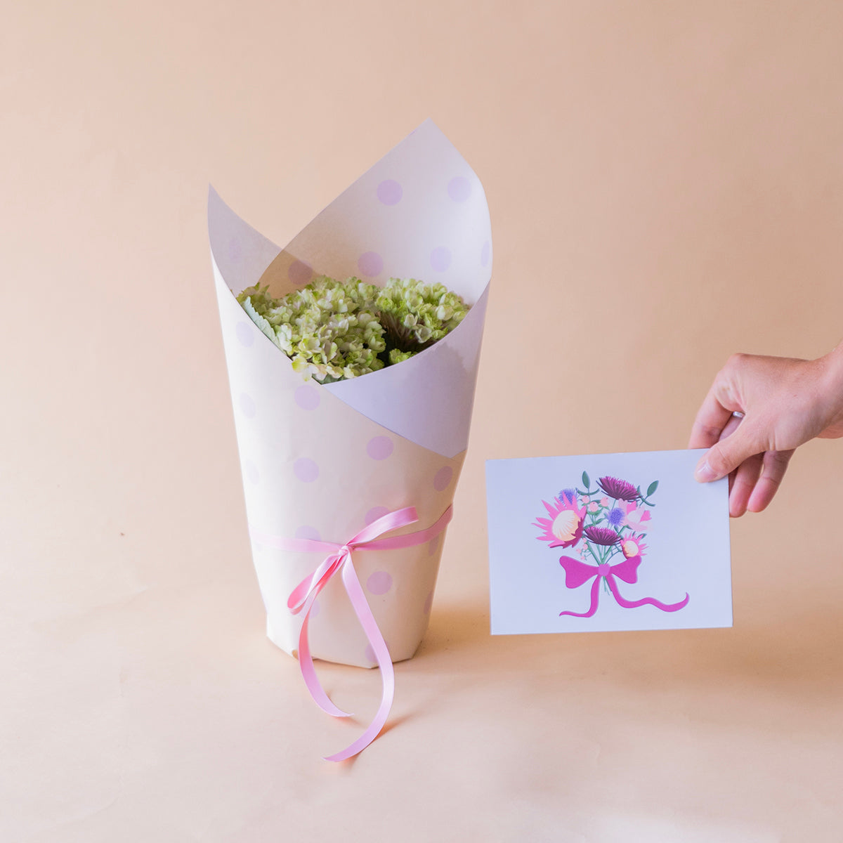 Mini hortensia verde en envoltorio lunares con lazo rosa y mano sosteniendo tarjeta protea floral - Colvin