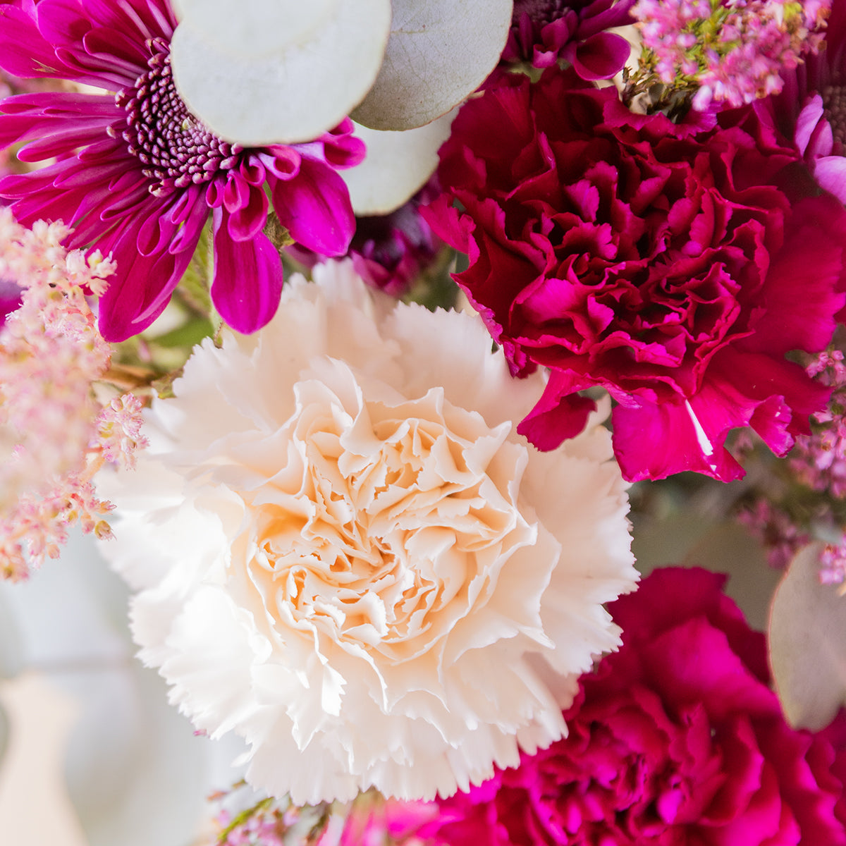 Detalle de clavel crema y crisantemo fucsia del ramo La Zarzamora — Colvin