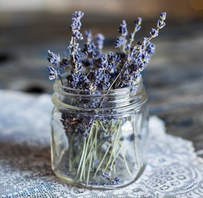 cuidados lavanda