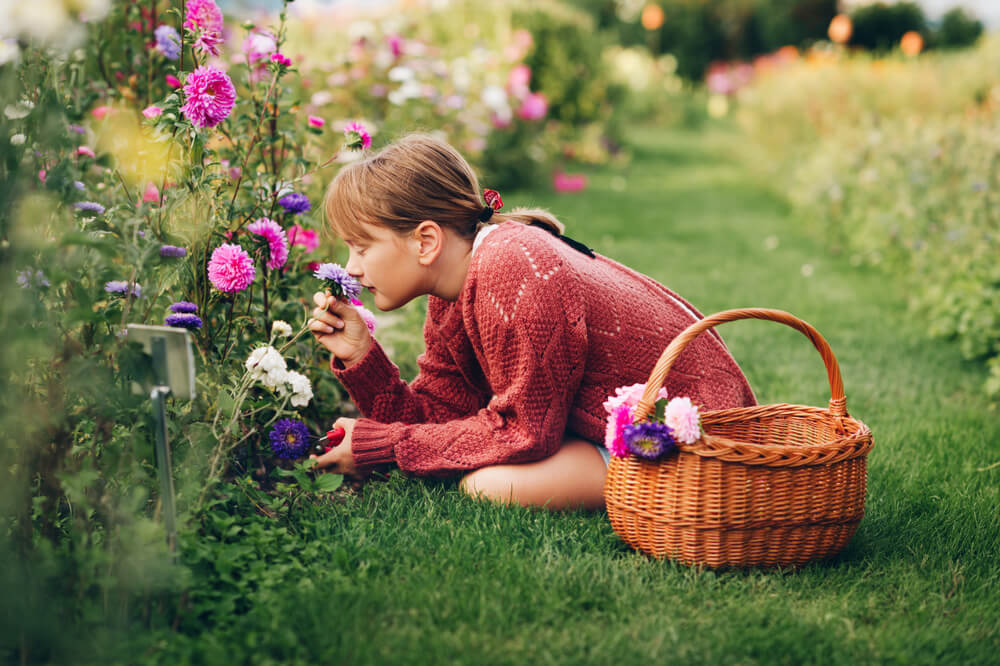 ¿Cómo recolectar flores?