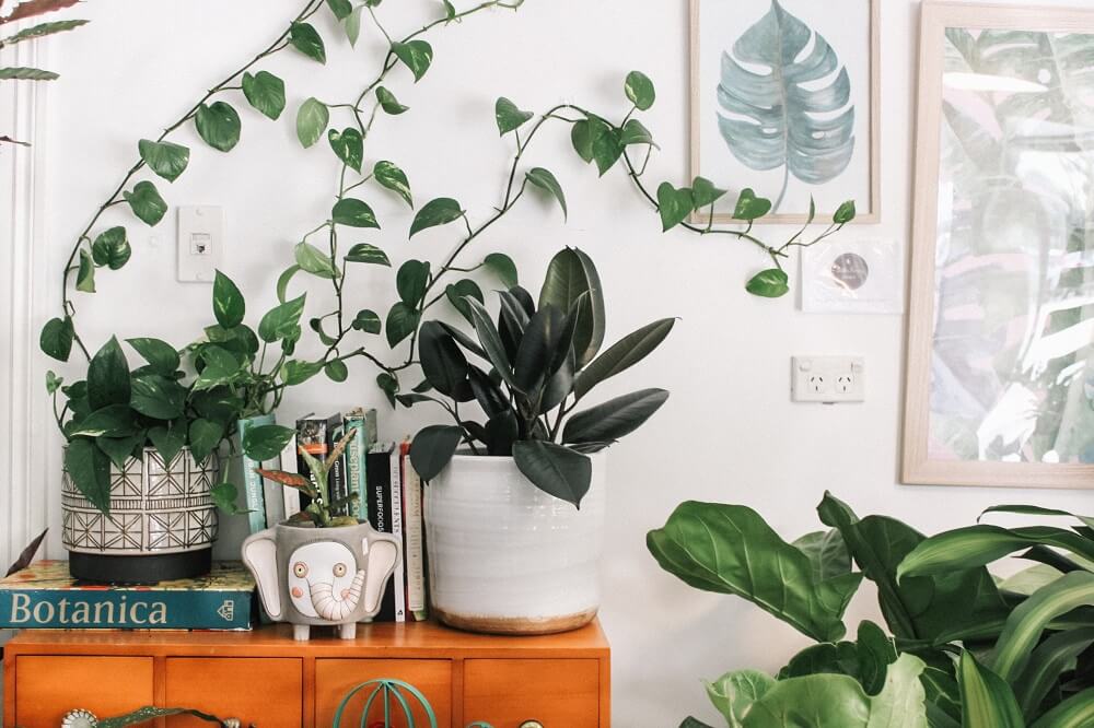 5 ideas para la decoración del comedor con flores