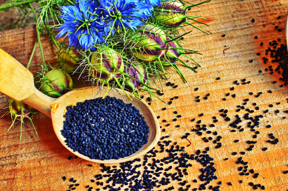 nigella semillas