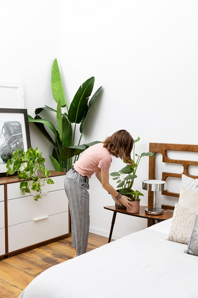 plantas de interior en dormitorio