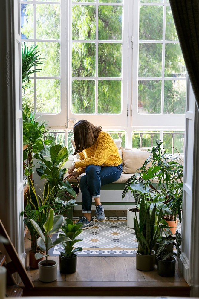 Cuidado de las plantas