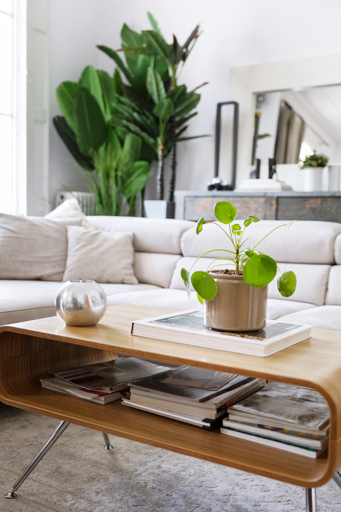 salón con plantas bonitas