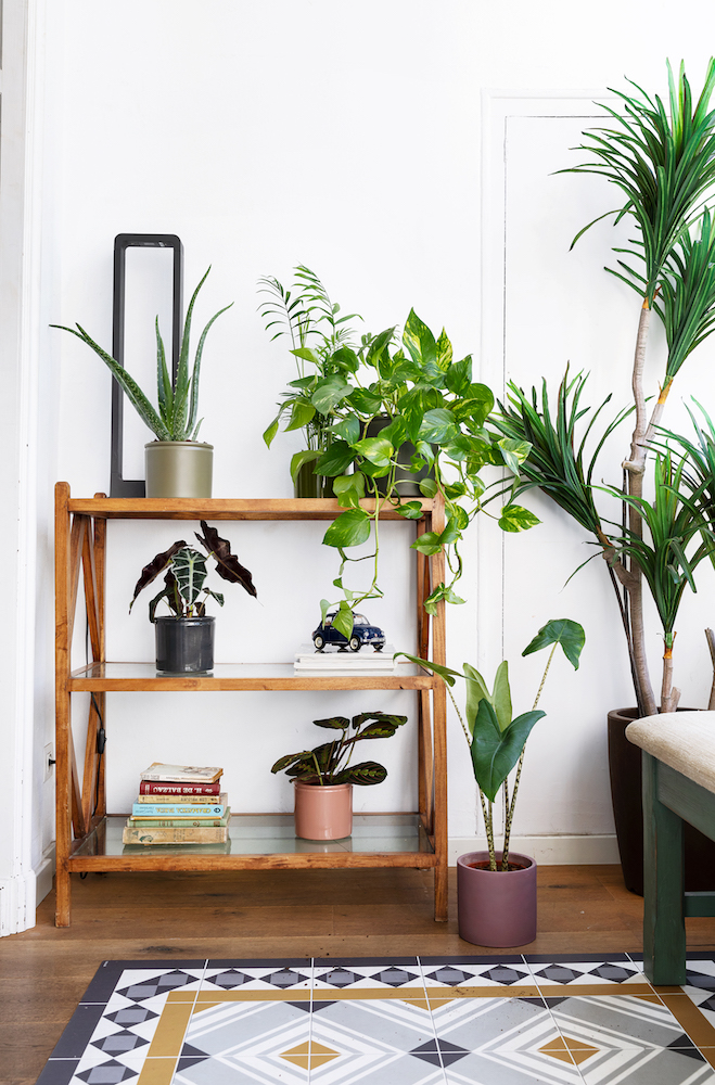 salón con plantas