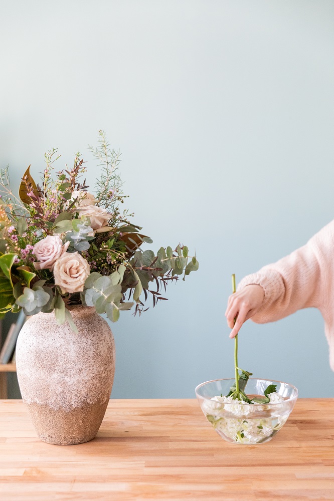 Cómo dar de beber a las hortensias si llegan deshidratadas | Colvin Blog