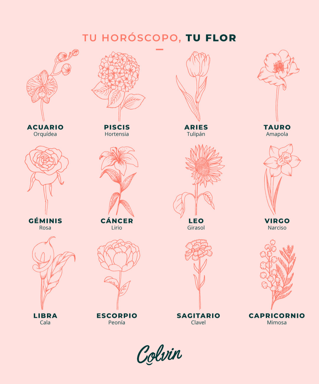 flores según tu signo del zodiaco, horoscopo 2021