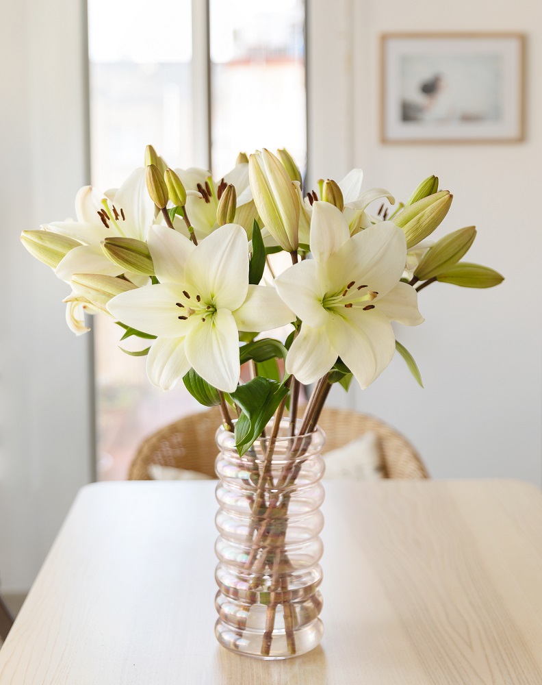Flores para un hombre - Porque las flores también son para ellos