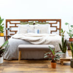 plantas para el dormitorio