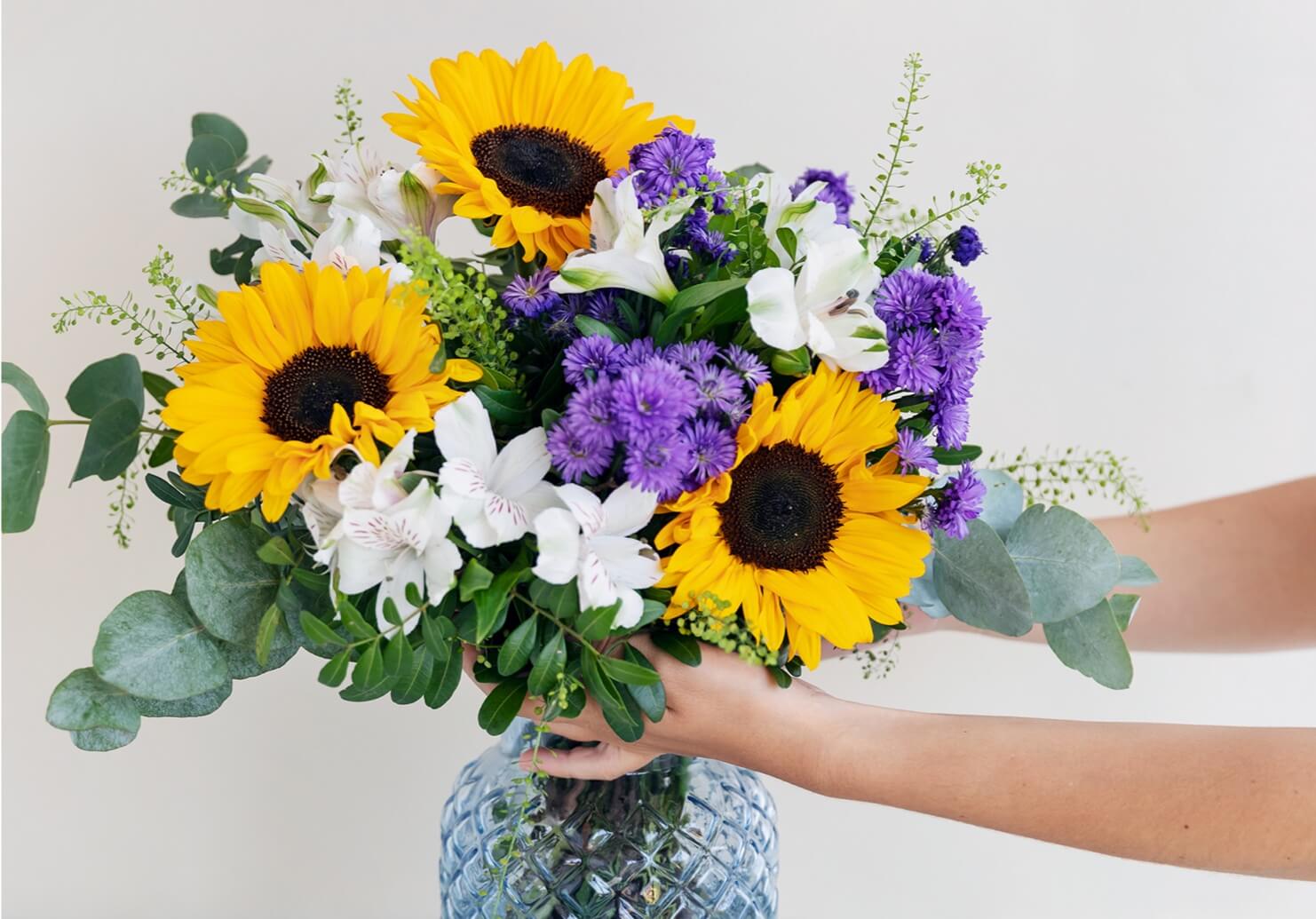 Sunflower Collection