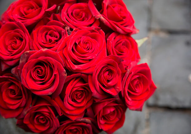 Gigantesco Mazzi Di Fiori - Un Enorme Bouquet Di Fiori Su Sfondo Nero Foto Stock Alamy / Ecco 10 ...