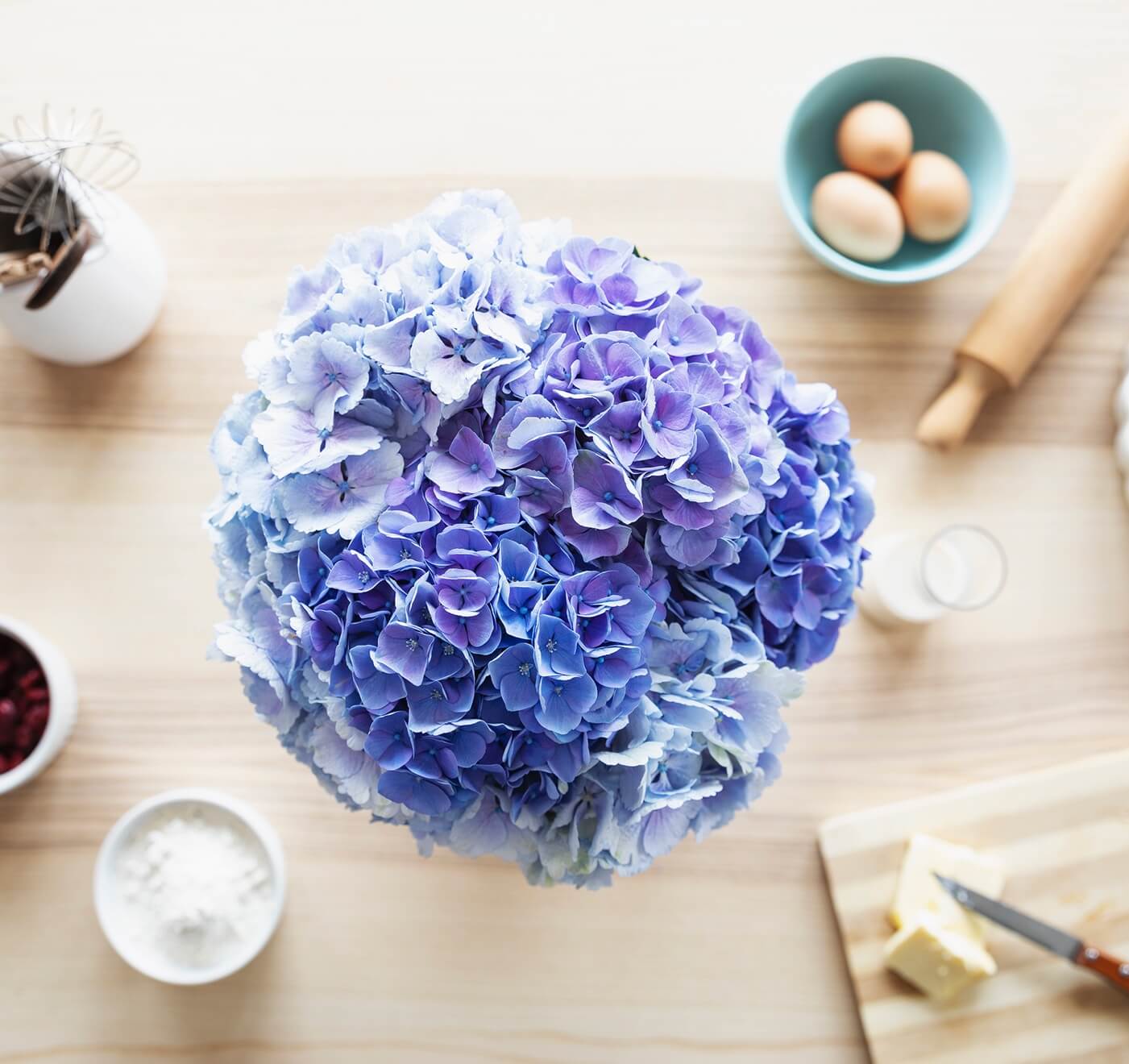 Hortensias