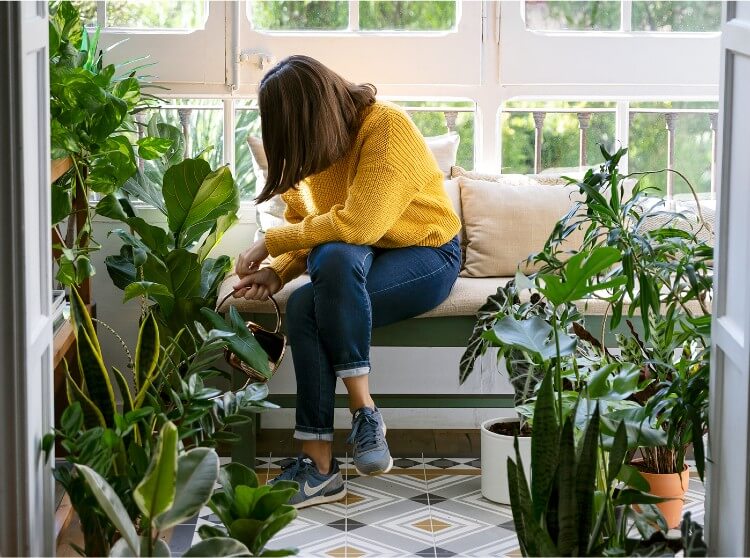 Colvin Plants
