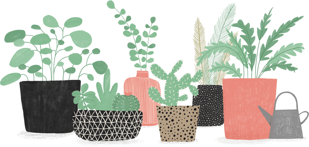 plants collection
