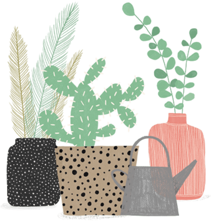 plants collection