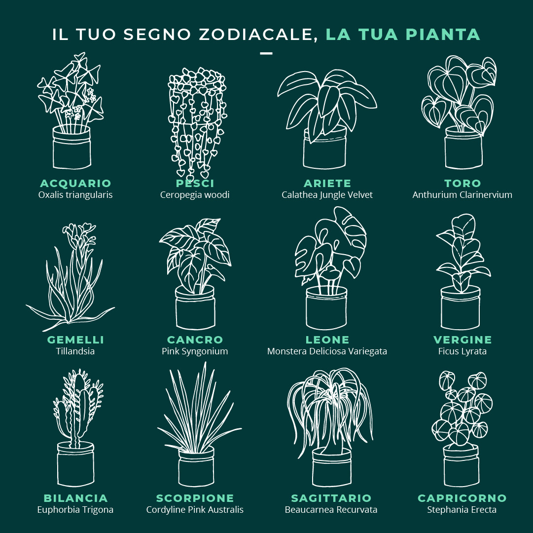  piante secondo il tuo segno