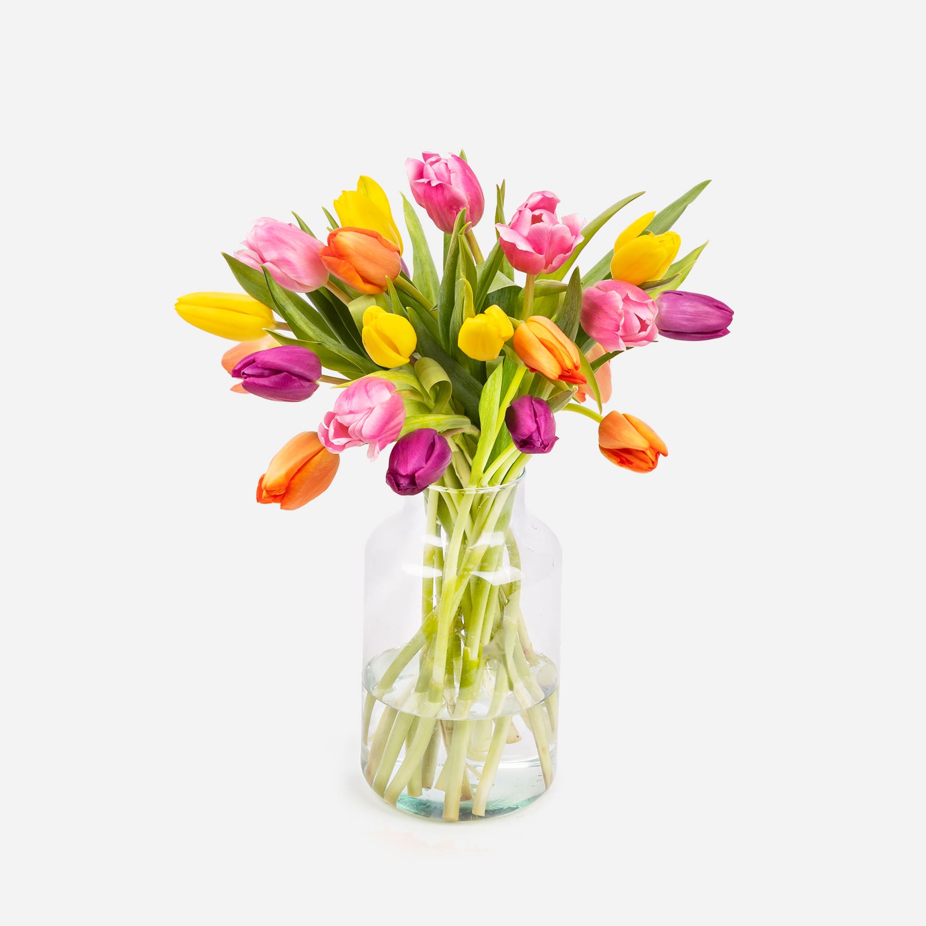 Scopri la nuova collezione di tulipani | Colvin Blog