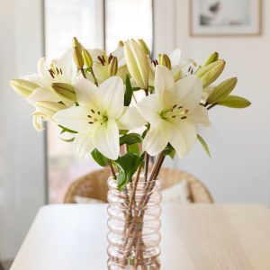 LITOUWEN (2) Flores brancas numa floreira para homem
